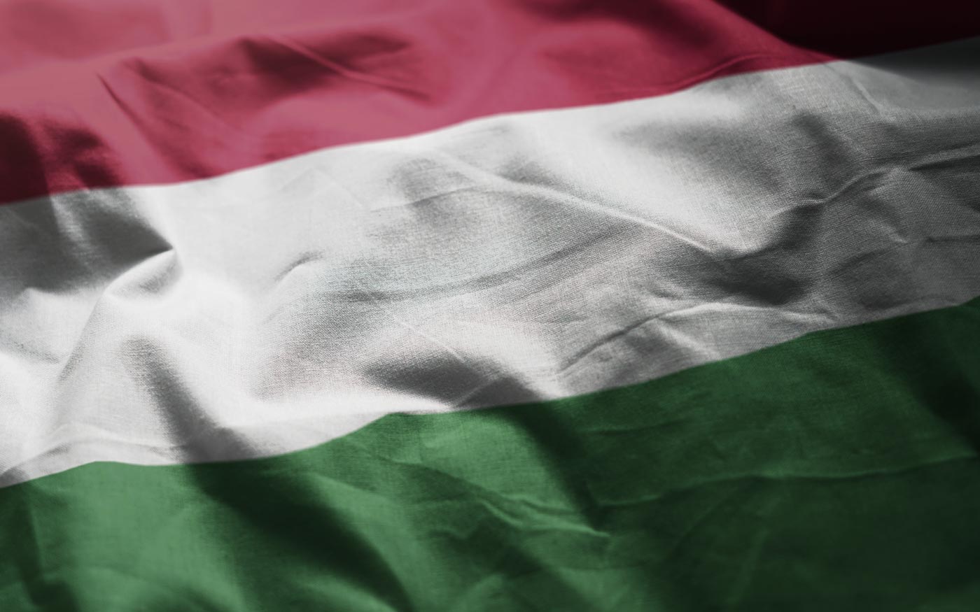 magyar_zaszlo_freepik_natanaelginting_20191104