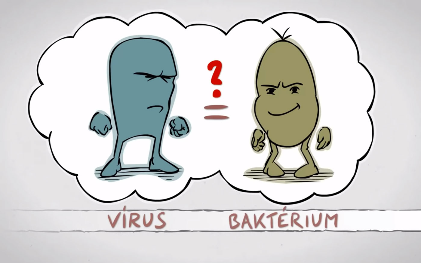 Tisztában vagy vele, mi a különbség a vírus és a baktérium között?