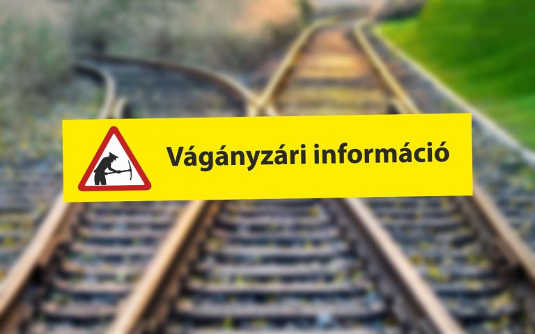 vaganyzar-mav_freepik_20200523