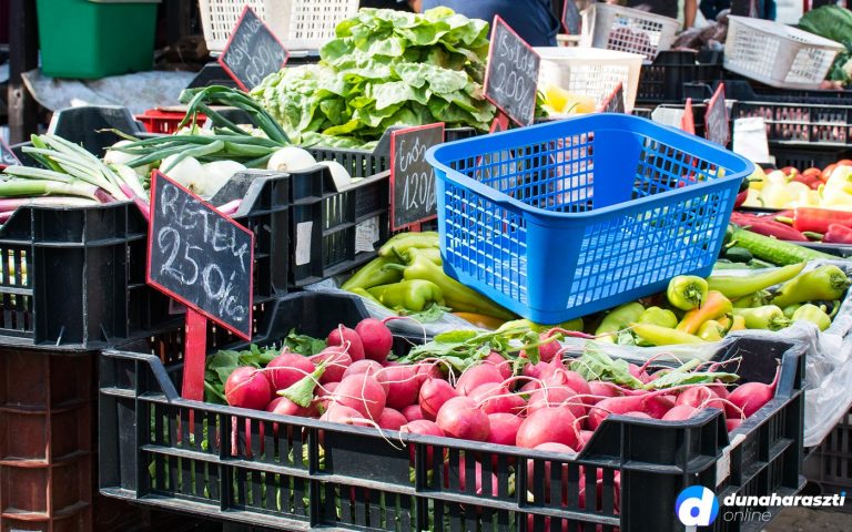 dh-piac-altalanos_dho_20200606