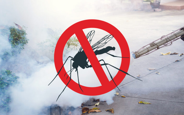 szunyoggyerites_ma_freepik_dho_ű20200630