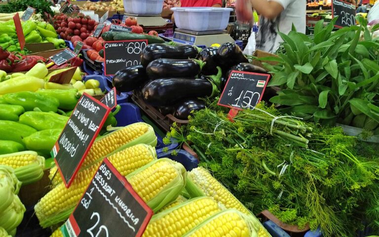 piac_lehel_olvasoi-kep3_20200704