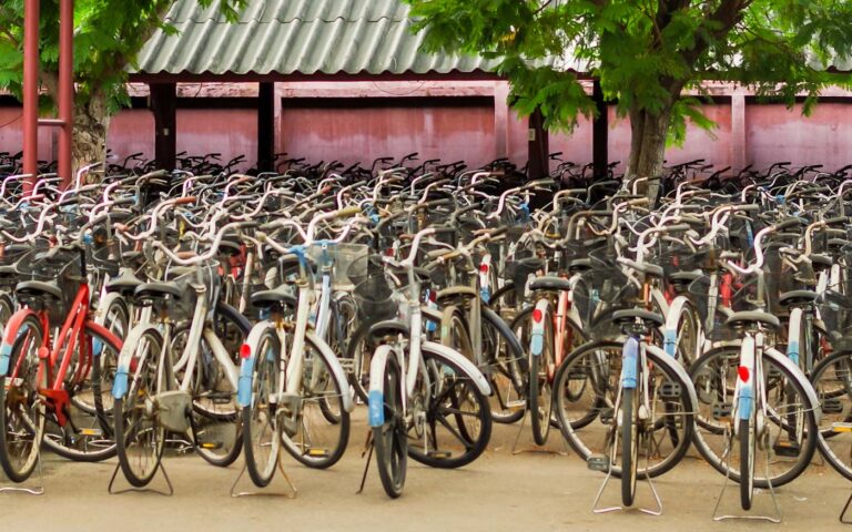 bike-safe_freepik_cheedman_20200812