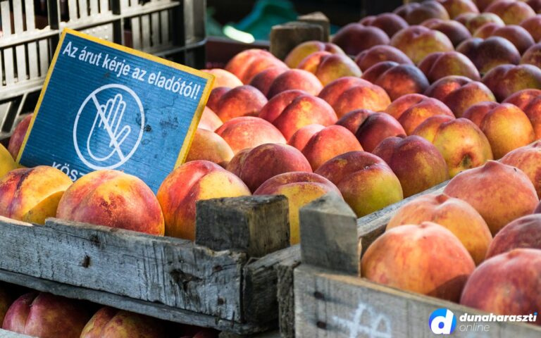 dh-piac-gyumolcs_dho_20200815