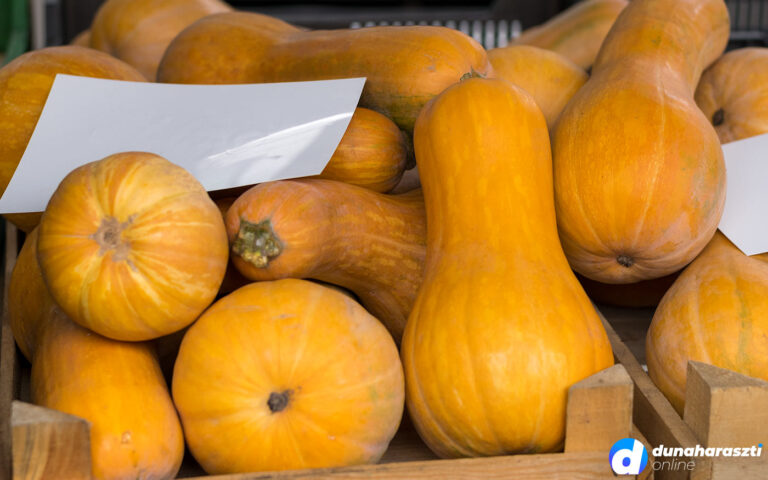 piaci-arak-tok_dho_20201010