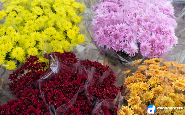 piaci-arak_dho_20201017