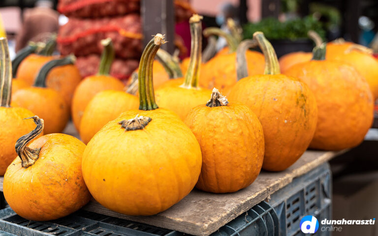 piaci-nap_tok_faragni_dho_20201024