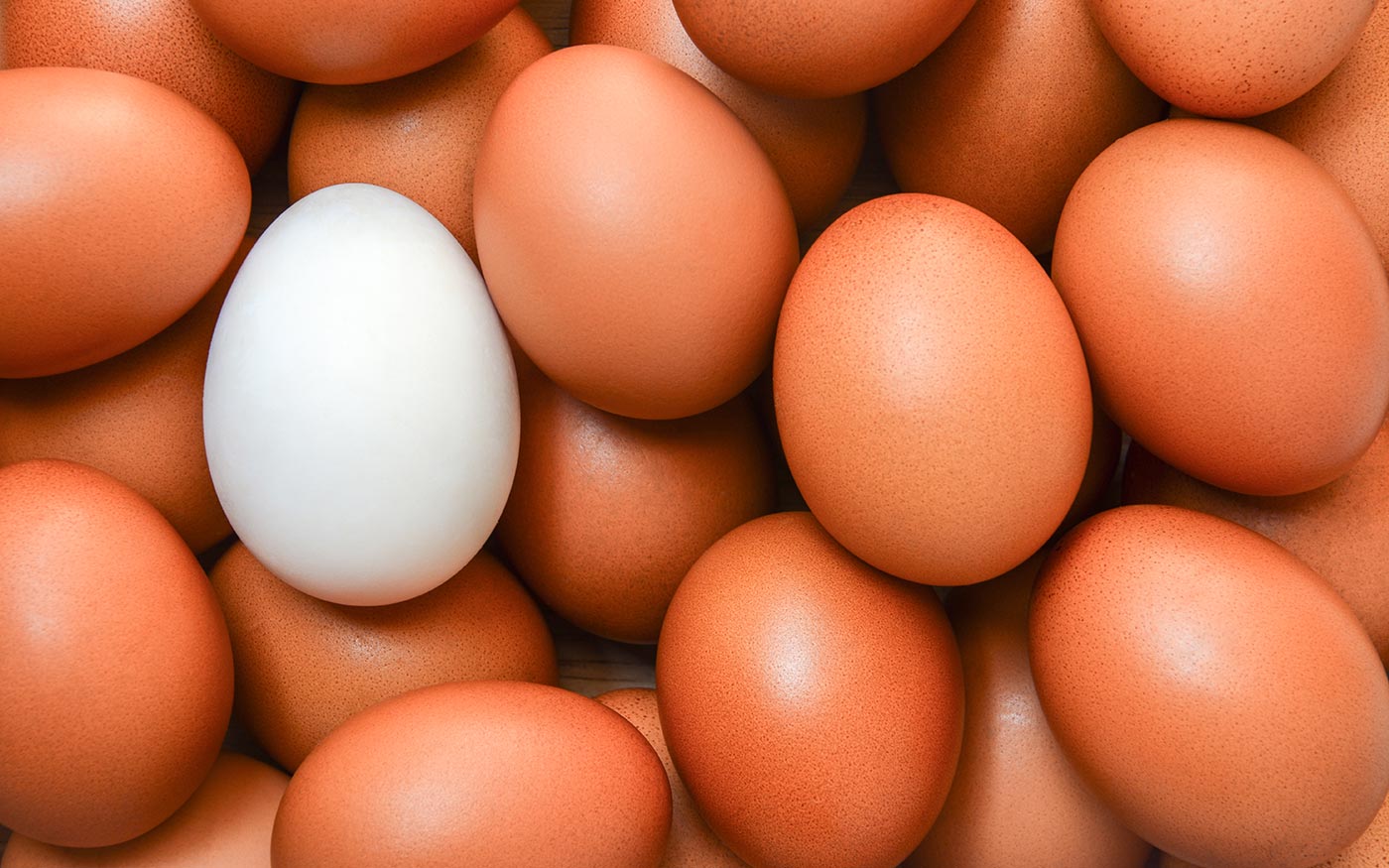 tojas-fogyasztas-kampany_freepik_iamtui7_20201122