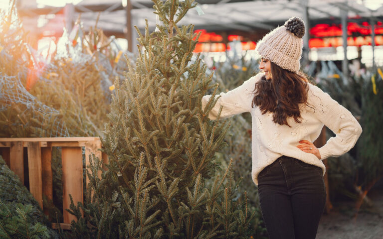 fenyovasar_freepik_prostooleh_20201207