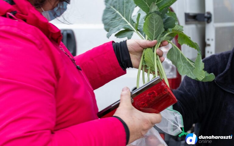 piaci-arak-dunaharaszti_dho_20201205