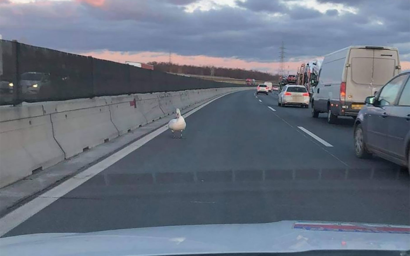 hattyu_m0_del_policehu_20210114