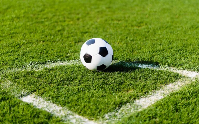 dmtk_labdarugas_freepik_20210206