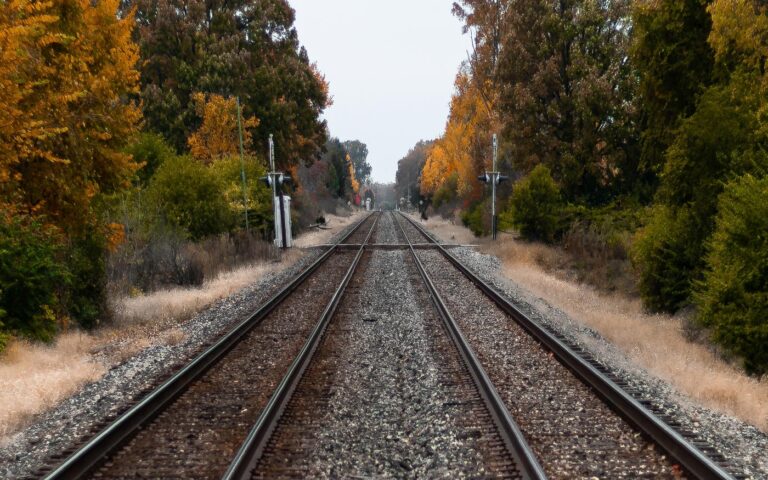 budapest-belgrad_online_freepik_wirestock_20210312