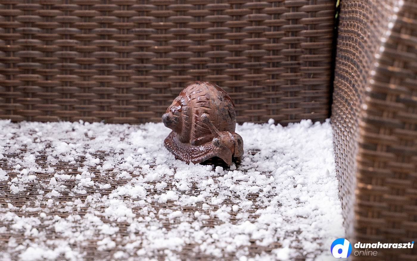 jegeso_negyevszak_dho_20210408