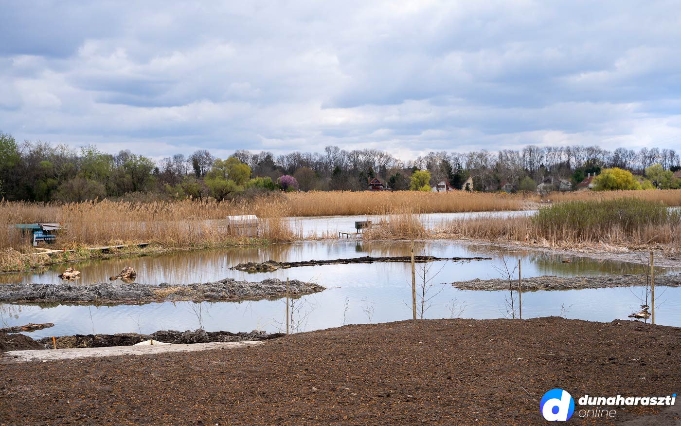 szigetszentmiklos_olajszennyezes-rendezes1_dho_20210405