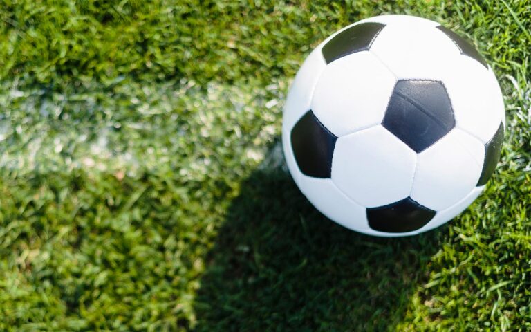 dmtk_foci_freepik_20210525