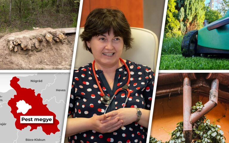 heti-osszefoglalo_dho_20210530