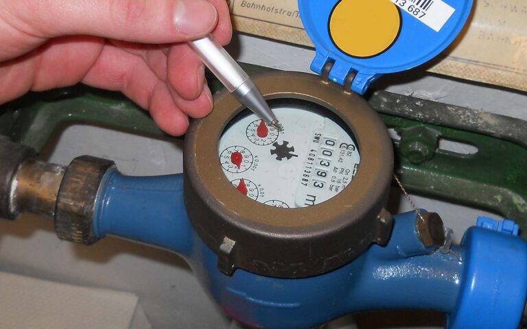 vizora-leolvas_pixabay_20210506