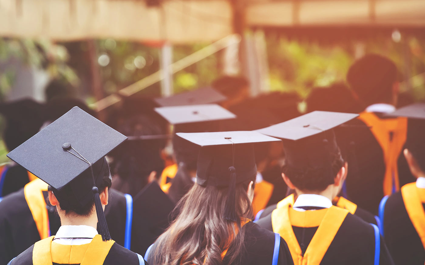 diplomaoszto.freepik.fongbeerredhot.210624