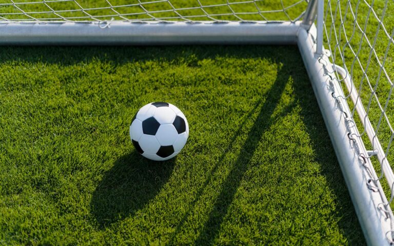 dmtk_osszefoglalo_freepik_20210602