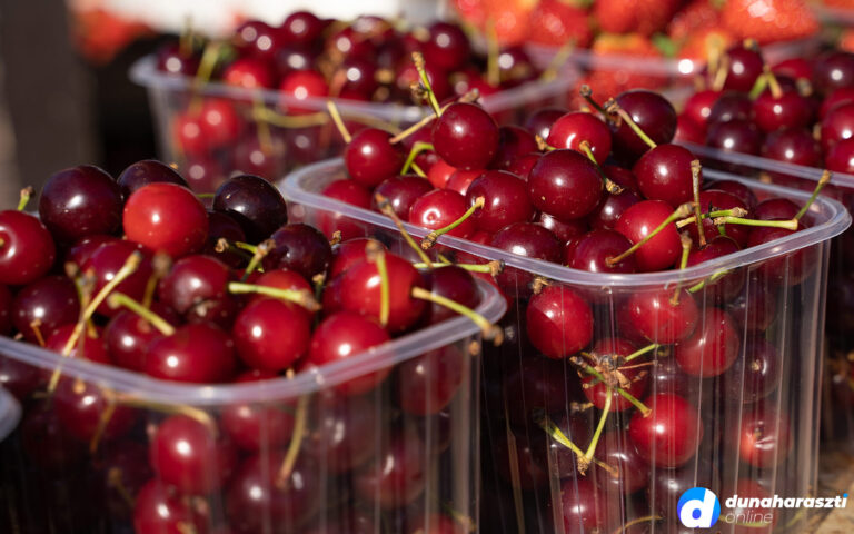 piaci-arak_dho_20210619