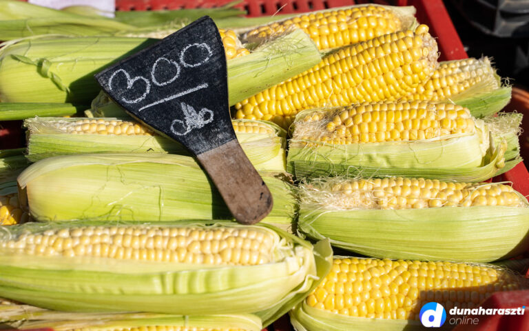 piaci-arak2_dho_20210703