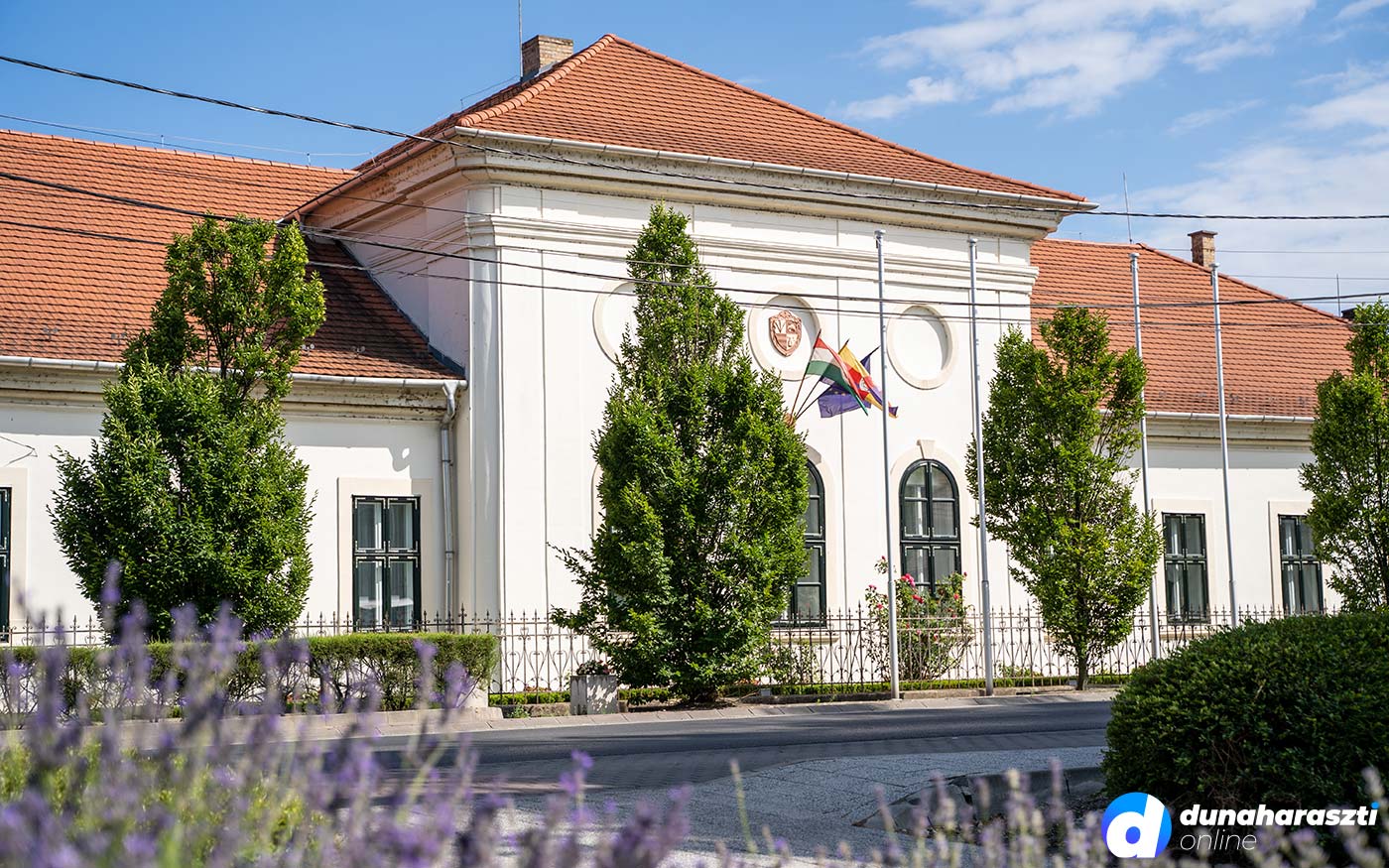 polgarmesteri-hivatal_levendula_dho_20210719