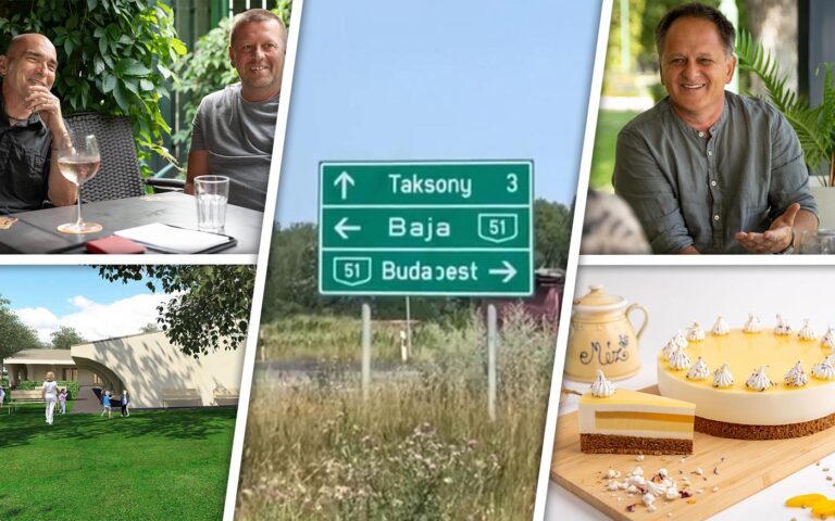 heti-osszefoglalo_dho_20210808