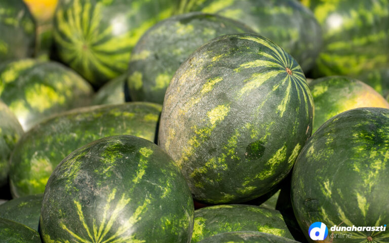 piac-piaci-arak_dho_20210828