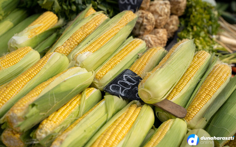 piaci-arak3_dho_20210807