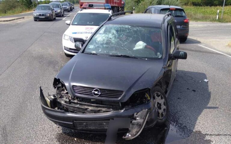 taksony-kozel-51es_03_pmki_szszmi_htp_20210823