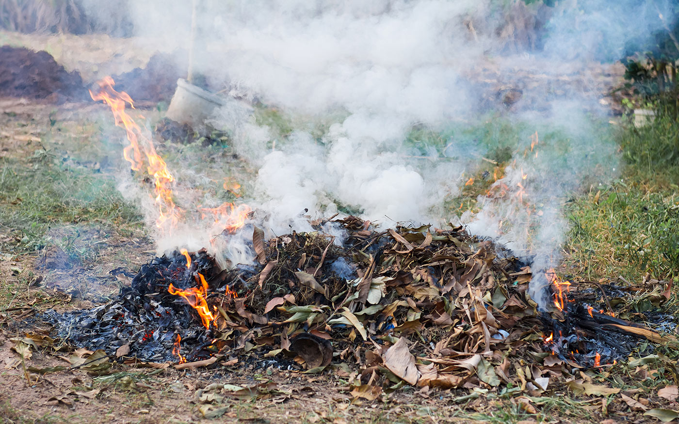 kerti-hulladek-egetes_freepik_lovelyday_20210928