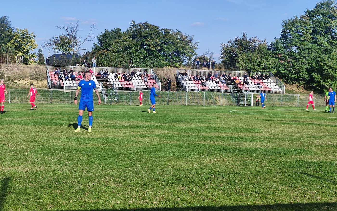 dmtk-foci_dmtk_20211020