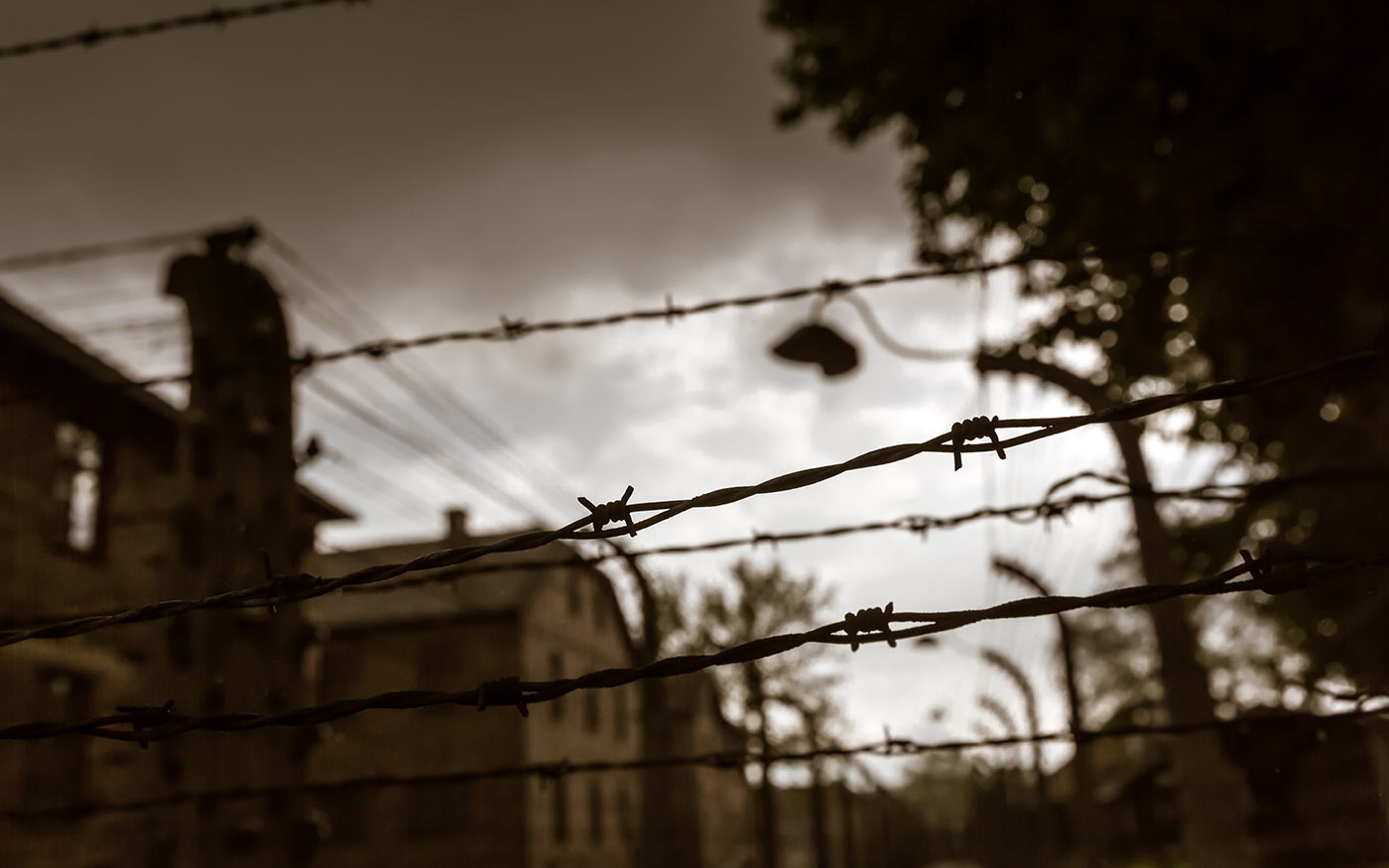 auschwitz_freepik_nomadsoul1_220127