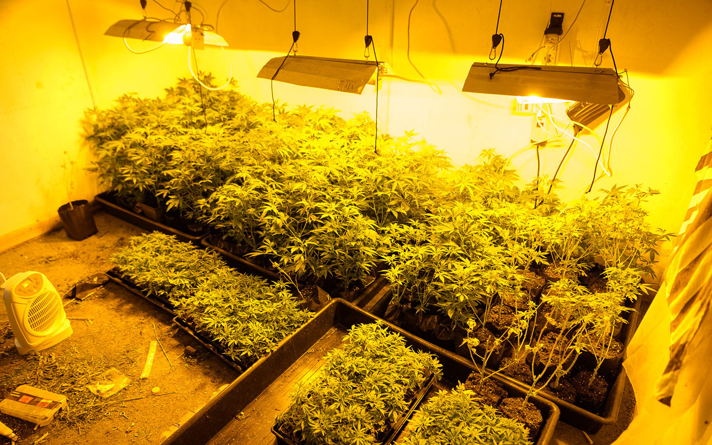 kabitoszer_policehu_220127