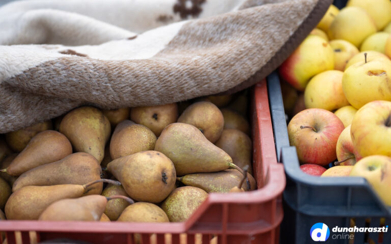 piaci-arak_dho_20220108