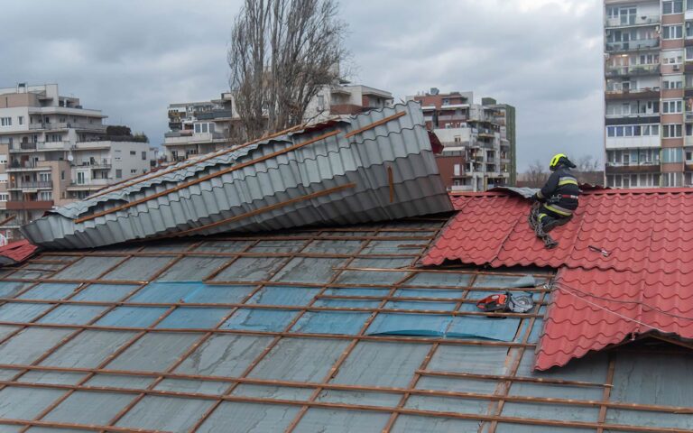 viharkar_teto_bm-katved-pest_20220118