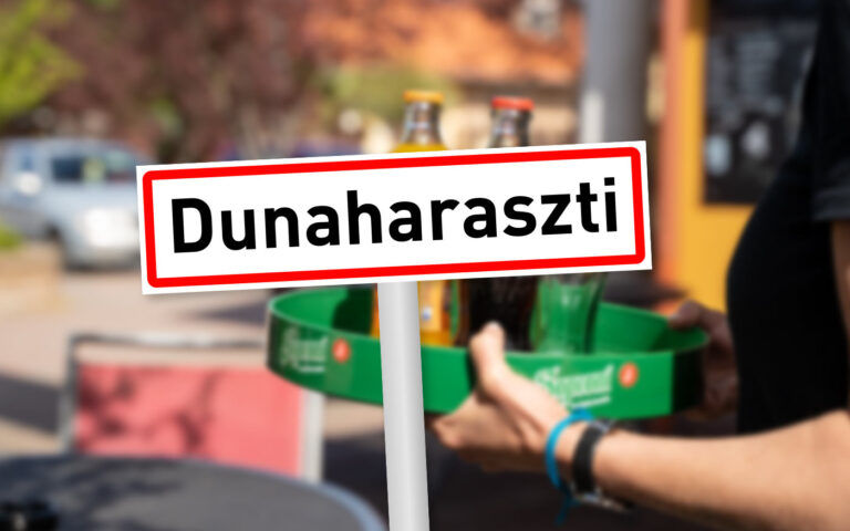 nav-ellenorzes-dunaharaszti-kiemelt-dho_20220204