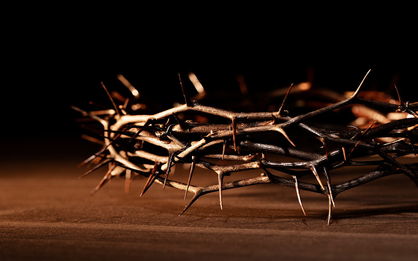 toviskorona_freepik_220416