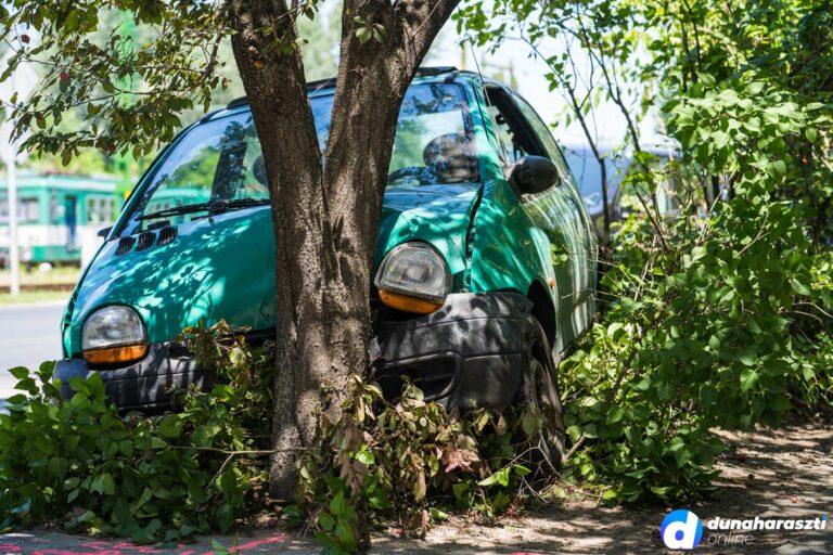 fanak-csapodott-dh-fout1_dho_20220615