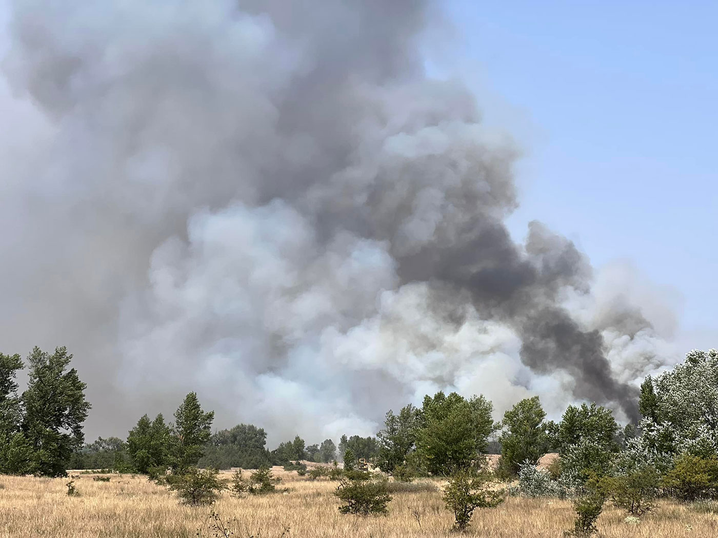 300042649_8142932679080469_7250462336550058454_n