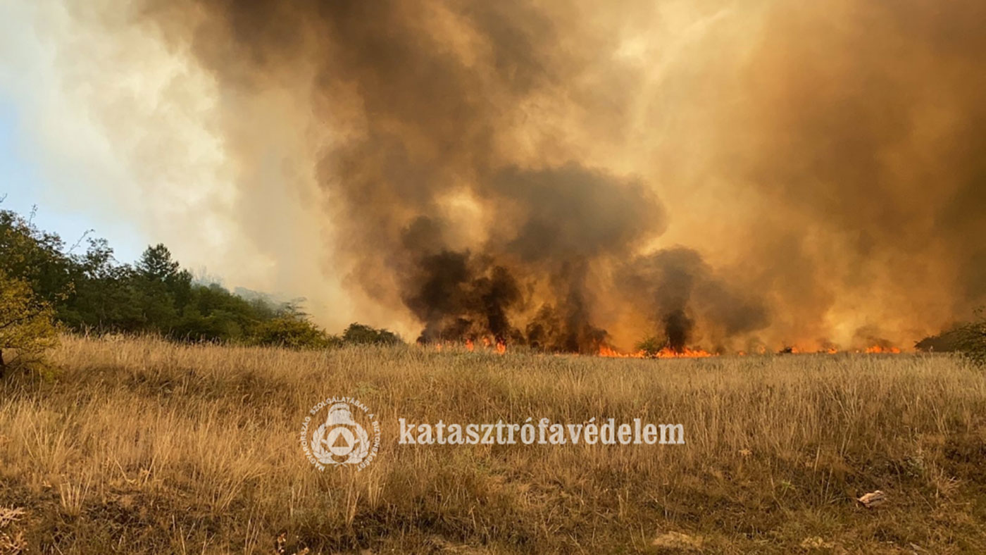 tatarszentgyorgy_01_katved_20220820