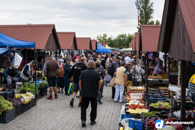 piaci-arak_dho_20220910