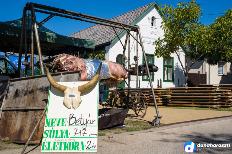 tajhaz15-szuletesnap05_dho_20220903