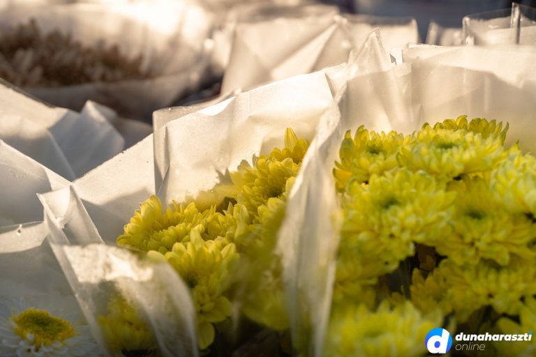 piaci-virag-krizantem_dho_20221025