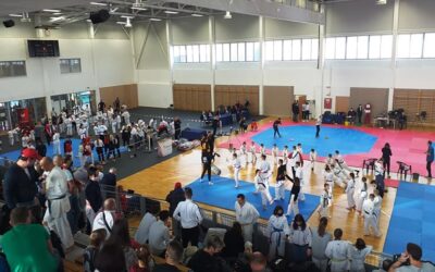orszagos-taekwondo-beharangozo_dh-mudo-demeny-ferenc_20221110