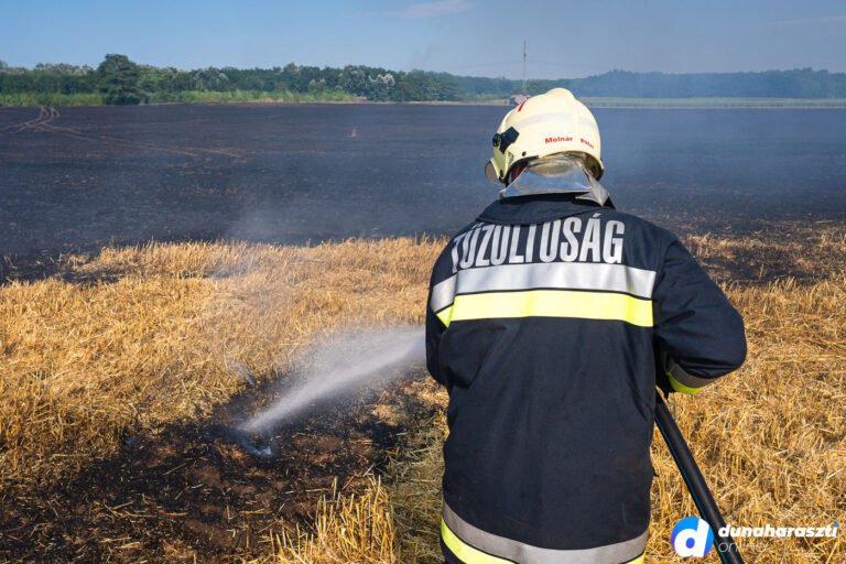 dhote_tarlo-tuz_haraszti-hatar_dho_20230718-13