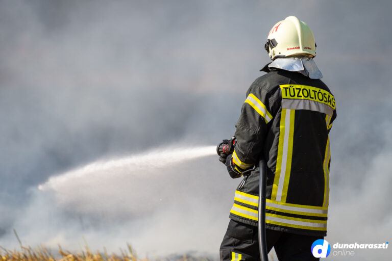 dhote_tarlo-tuz_haraszti-hatar_dho_20230718-6