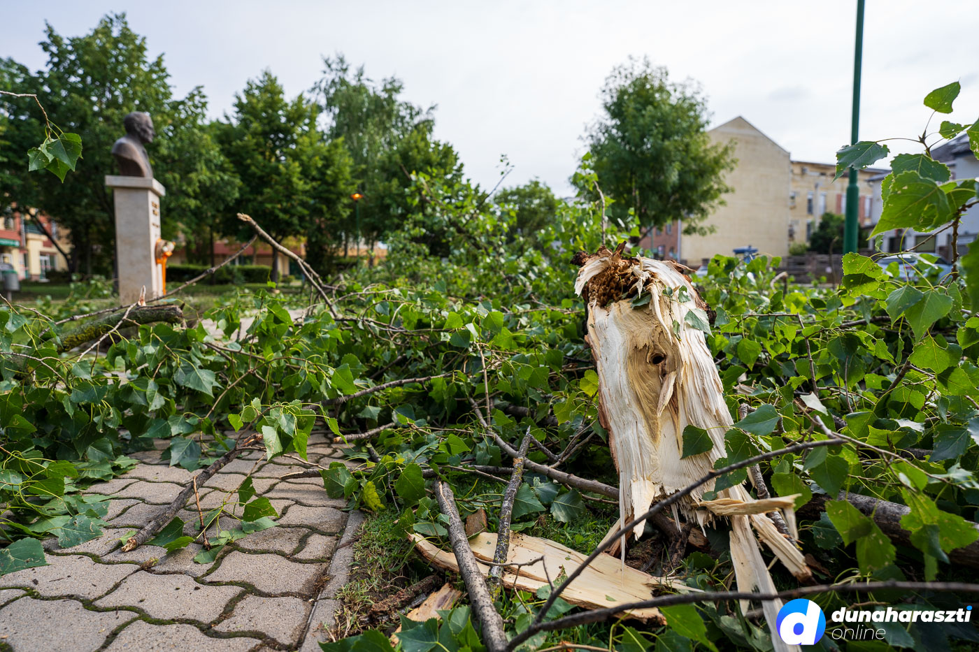 viharkar_dho_20230805