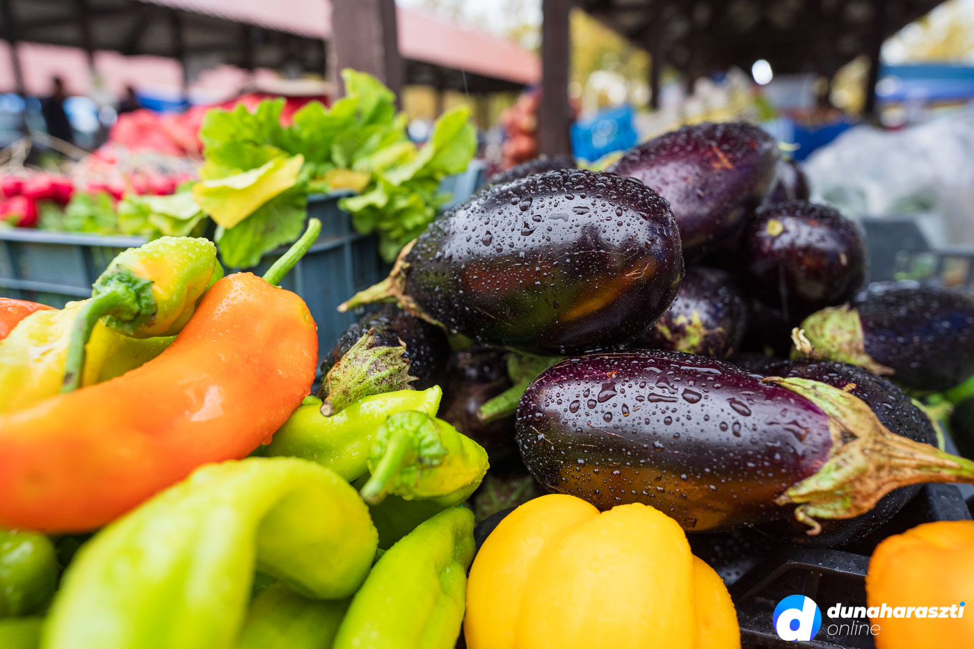 piaci-arak_dho_20231021